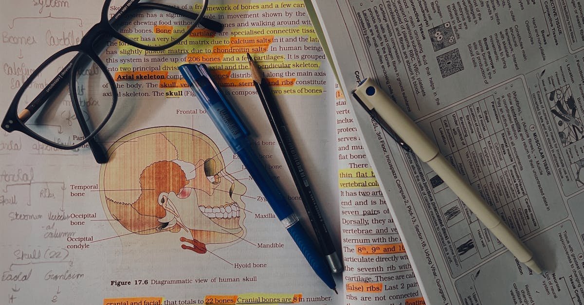 Od chaosu do klarowności: 11 sposobów notowania, które przyspieszą Twoją naukę