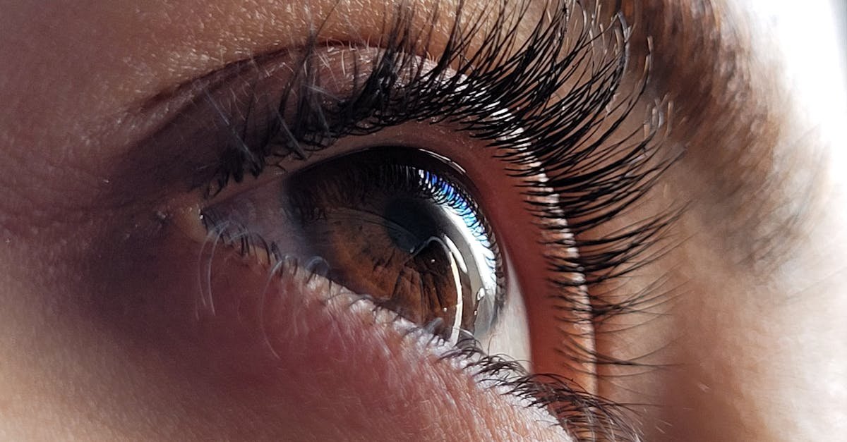 Rzęsy jak wachlarz: naturalne rytuały, dzięki którym staną się dłuższe i gęstsze